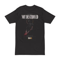 Not Destroyed tee view 2