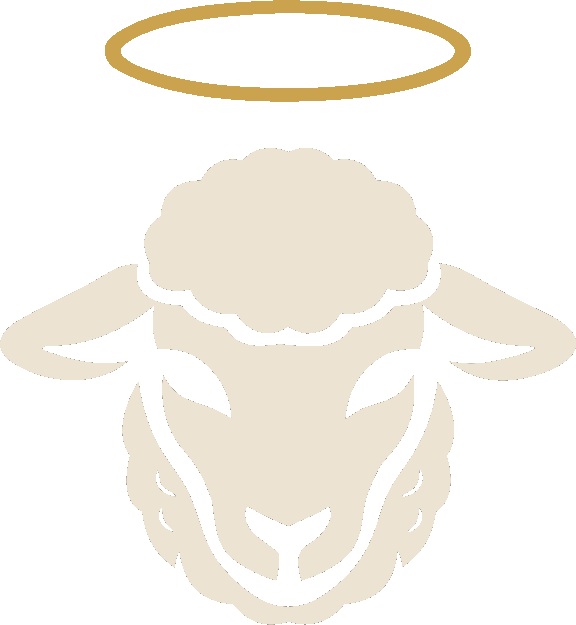 NaskiCo